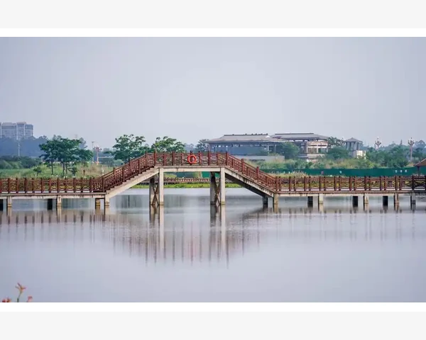 古代医术调理脾胃的智慧与方法