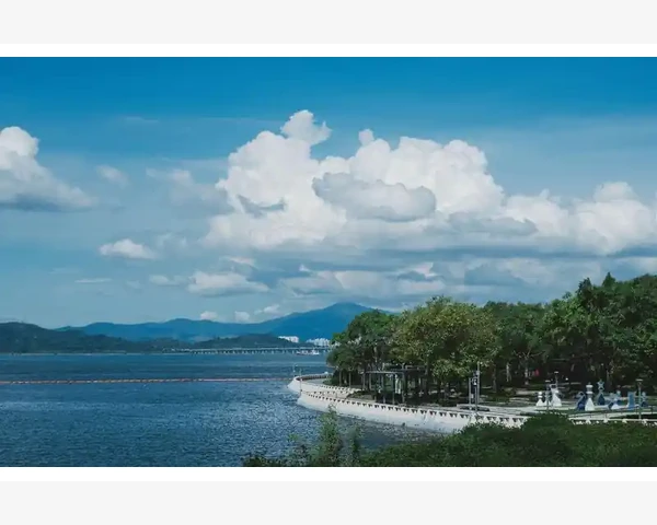 B2B独家供应协议买卖双方得失权衡